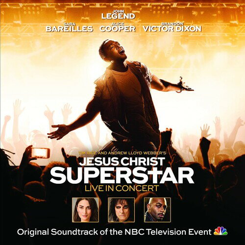 Original Television Cast of Jesus Christ Superstar - Jesus Christ Superstar Live In Concert LP レコード 【輸入盤】