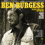 Ben Burgess - Tears the Size of Texas LP レコード 【輸入盤】
