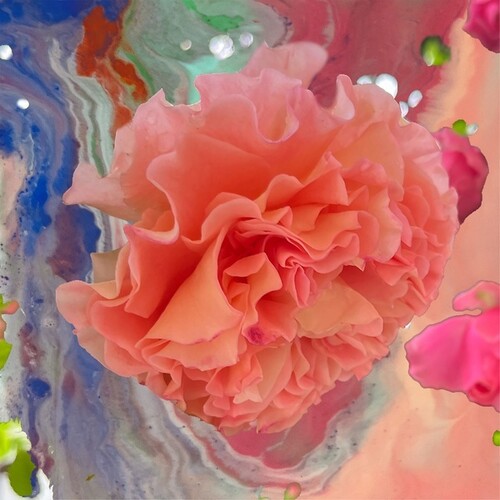 ◆タイトル: Heller Tag◆アーティスト: Conic Rose◆現地発売日: 2023/03/10◆レーベル: Conic RoseConic Rose - Heller Tag LP レコード 【輸入盤】※商品画像はイメージです。デザインの変更等により、実物とは差異がある場合があります。 ※注文後30分間は注文履歴からキャンセルが可能です。当店で注文を確認した後は原則キャンセル不可となります。予めご了承ください。[楽曲リスト]