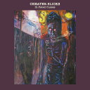 Cheater Slicks - Ill-Fated Cusses LP R[h yAՁz