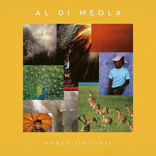 ǥᥪ Al Di Meola - WORLD SINFONIA LP 쥳 ͢ס