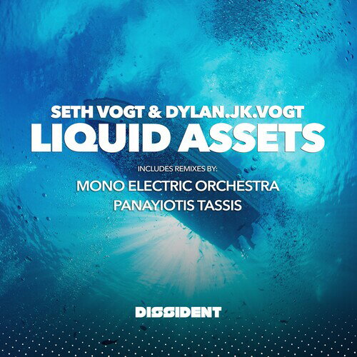 Seth Vogt ＆ Dylan.Jk.Vogt - Liquid Assets CD アルバム