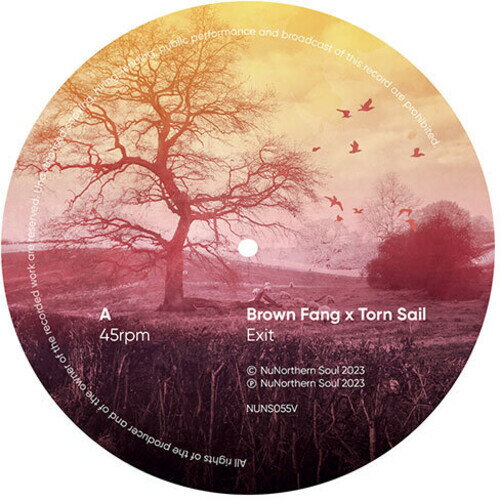 Brown Fang  Torn Sail - Network Remixes: Volume One Sampler (Various Artists) 쥳 (7inch󥰥)