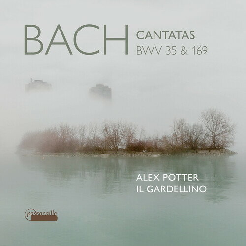 J.S. Bach / Potter / Doeselaar - Bach Cantatas Bwv 35  169 CD Х ͢ס