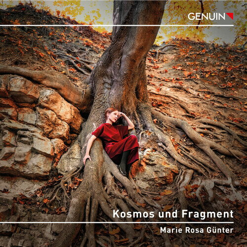 Kallmeyer / Webern / Beethoven - Kosmos Und Fragment CD Х ͢ס