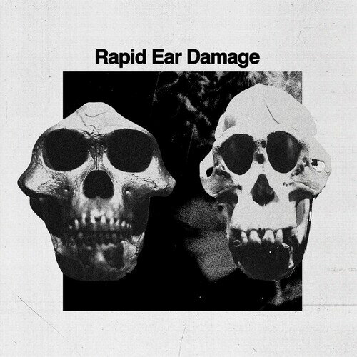 ◆タイトル: R.E.D.◆アーティスト: Rapid Ear Damage◆現地発売日: 2023/07/21◆レーベル: Hoga Nord RekordsRapid Ear Damage - R.E.D. LP レコード 【輸入盤】※商品画像はイメージです。デザインの変更等により、実物とは差異がある場合があります。 ※注文後30分間は注文履歴からキャンセルが可能です。当店で注文を確認した後は原則キャンセル不可となります。予めご了承ください。[楽曲リスト]With distorted arpeggiated synthesizers and cold metallic drum-machine patterns, William Wiffen from Yorkshire invites you to his sonic warzone. Hoga Nord Rekords proudly presents RED (Rapid Ear Damage), a stripped and harsh take on postpunk, motorik and EBM. With haunting and reverb-drenched synthesizers, Wiffen's new project sometimes resembles acts like Two Lone Swordsmen in their dirtiest moments.RED is not a wholesome and pleasant experience. Heavily modified vocals, used more like an additional instrument, breaks through the distorted, hard, backbeat, contributing to the feeling of being trapped in a mental slit trench or bomb shelter: no light coming in - only sound. Set the controls for the heart of the void.Tracklisting:A1. Channels A2. One A3. Move Away A4. Tubular Cells B1. Weatherman B2. Transparency B3. Second to Last Bongo in Brighton B4. 6am with Horses and Sunrise