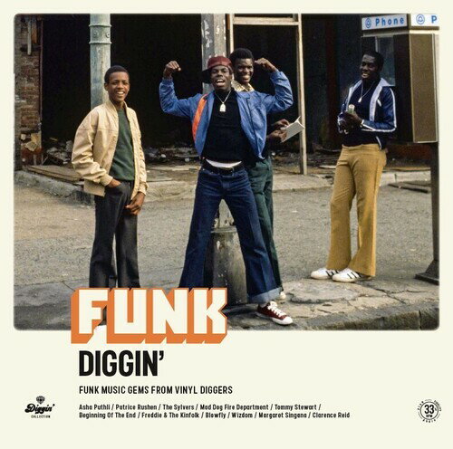 Funk Diggin / Various - Funk Diggin LP R[h yAՁz