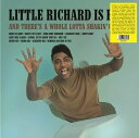 ◆タイトル: Little Richard Is Back◆アーティスト: Little Richard◆アーティスト(日本語): リトルリチャード◆現地発売日: 2023/07/07◆レーベル: Trading Places◆その他スペック: 輸入:カナダリトルリチャード Little Richard - Little Richard Is Back LP レコード 【輸入盤】※商品画像はイメージです。デザインの変更等により、実物とは差異がある場合があります。 ※注文後30分間は注文履歴からキャンセルが可能です。当店で注文を確認した後は原則キャンセル不可となります。予めご了承ください。[楽曲リスト]