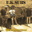 UK Subs - Quintessentials - YELLOW/BLACK SPLATTER LP 쥳 ͢ס