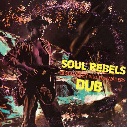ボブマーリー Bob Marley - Soul Rebels Dub - YELLOW ＆ RED HAZE LP レコード 【輸入盤】
