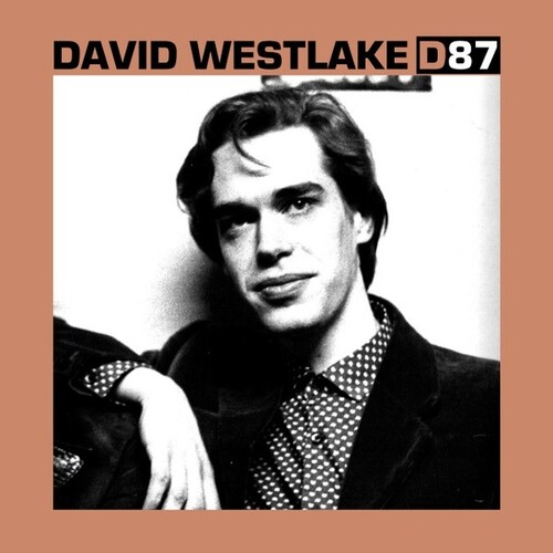 ◆タイトル: D87◆アーティスト: David Westlake◆現地発売日: 2023/09/08◆レーベル: Optic NerveDavid Westlake - D87 LP レコード 【輸入盤】※商品画像はイメージです。デザインの変更等により、実物とは差異がある場合があります。 ※注文後30分間は注文履歴からキャンセルが可能です。当店で注文を確認した後は原則キャンセル不可となります。予めご了承ください。[楽曲リスト]