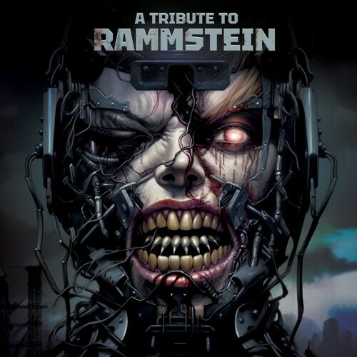 Tribute to Rammstein / Various - A Tribute To Rammstein (Various Artsists) LP R[h yAՁz