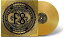 ファイヴフィンガーデスパンチ Five Finger Death Punch - F8 LP レコード 【輸入盤】