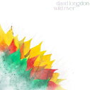 David Longdon - Wild River - Yellow ＆ Green Vinyl LP レコード 【輸入盤】