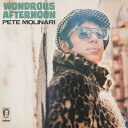 Pete Molinari - Wondrous Afternoon LP R[h yAՁz