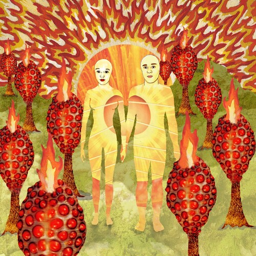 オブモントリオール Of Montreal - The Sunlandic Twins LP レコード 【輸入盤】