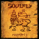 ◆タイトル: Prophecy◆アーティスト: Soulfly◆アーティスト(日本語): ソウルフライ◆現地発売日: 2023/12/01◆レーベル: BMG Rights Managemenソウルフライ Soulfly - Prophecy LP レコード 【輸入盤】※商品画像はイメージです。デザインの変更等により、実物とは差異がある場合があります。 ※注文後30分間は注文履歴からキャンセルが可能です。当店で注文を確認した後は原則キャンセル不可となります。予めご了承ください。[楽曲リスト]1.1 Prophecy (With Sample) 1.2 Living Sacrifice 1.3 Execution Style 1.4 Defeat U 2.1 Mars 2.2 I Believe 2.3 Moses (With Sample) 3.1 Born Again Anarchist 3.2 Porrada 3.3 In the Meantime 4.1 Soulfly IV 4.2 Wings (With Sample + Hidden Track) 4.3 March on the River DinaSoulfly - Prophecy