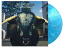◆タイトル: Mezcal Head: 30th Anniversary - Limited 180-Gram Blue Marble Colored Vinyl◆アーティスト: Swervedriver◆アーティスト(日本語): スワーヴドライヴァー◆現地発売日: 2023/08/04◆レーベル: Music on Vinyl◆その他スペック: 180グラム/Limited Edition (限定版)/カラーヴァイナル仕様/輸入:オランダスワーヴドライヴァー Swervedriver - Mezcal Head: 30th Anniversary - Limited 180-Gram Blue Marble Colored Vinyl LP レコード 【輸入盤】※商品画像はイメージです。デザインの変更等により、実物とは差異がある場合があります。 ※注文後30分間は注文履歴からキャンセルが可能です。当店で注文を確認した後は原則キャンセル不可となります。予めご了承ください。[楽曲リスト]1.1 For Seeking Heat 1.2 Duel 1.3 Blowin' Cool 1.4 MM Abduction 1.5 Last Train to Satansville 1.6 Harry ; Maggie 1.7 A Change Is Gonna Come 1.8 Girl on a Motorbike 1.9 Duress 1.10 You Find It Everywhere30th anniversary edition of 1500 individually numbered copies on blue marbled 180-gram audiophile vinyl. Swervedriver are an English alternative rock band formed in Oxford in 1989 around core members Adam Franklin and Jimmy Hartridge. Mezcal Head is their second studio album, originally released in 1993.