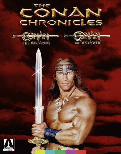 The Conan Chronicles: Conan The Barbarian / Conan The Destroyer u[C yAՁz