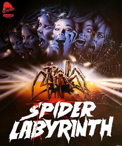 The Spider Labyrinth 4K UHD ֥롼쥤 ͢ס
