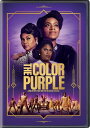 The Color Purple (2023) DVD  A 