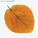 Pete Jolly - Seasons - Amber LP レコード 【輸入盤】
