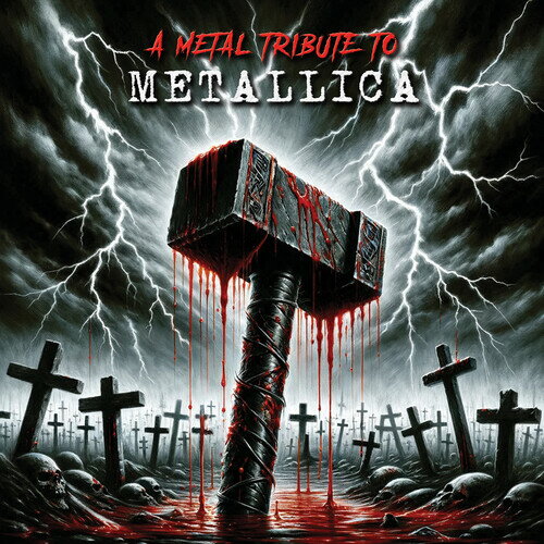 【予約】Metal Tribute to Metallica / Various - A Metal Tribute to Metallica (Various Artists) LP レコード 【輸入盤】