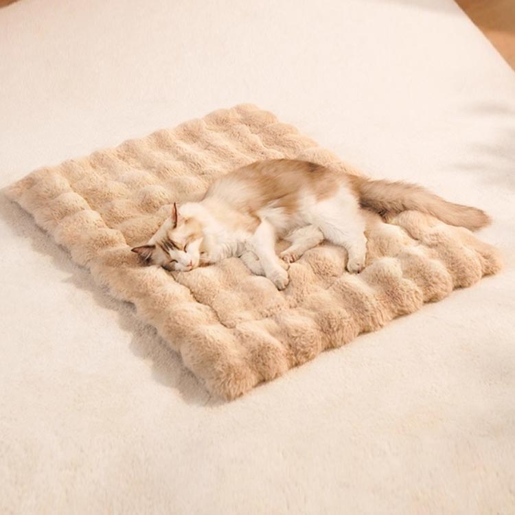 CHAKU LOVE　クッション 犬 猫 ドッグベッド ふわふわ ペット用ベッド ペットマッ...