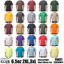  プロクラブ PRO CLUB PROCLUB メンズ Tシャツ 半袖 ヘビーウェイト ウエイト 6.5オンス 無地 25色 サイズ 2XL 3XL Hip Hop #101 ユニセックス 男女兼用 大きいサイズ ビッグサイズ 