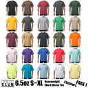  プロクラブ PRO CLUB PROCLUB メンズ Tシャツ 半袖 ヘビーウェイト ウエイト 6.5オンス 無地 25色 サイズ SXL Hip Hop #101  ユニセックス 男女兼用 男性用 女性用 ビック サイズ ストリート