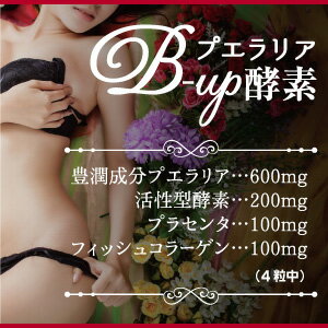 【スーパーSALE 10%OFF】キレイをサポート！[プエラリアB-up酵素][120粒]女性らしいラインをサポート！ネコポス送料無料！