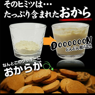 【送料無料】 豆乳おからクッキー トリプルZERO 1kg 2個セット