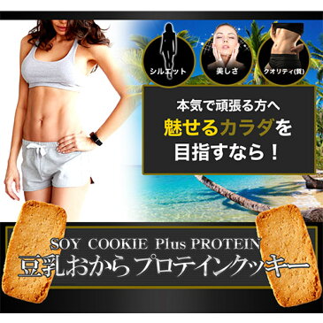 【クーポンで300円OFF】おからクッキー 訳あり 1kg 小麦粉不使用 プロテイン お菓子 プロテインクッキー ダイエット 豆乳おからプロテインクッキー 1kg ※お1人様3個まで※
