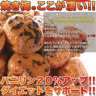 お徳用 無着色国産焼き梅干しどっさり 500g 焼き梅干し 焼き梅 加熱梅干し 梅干 国産 バニリン