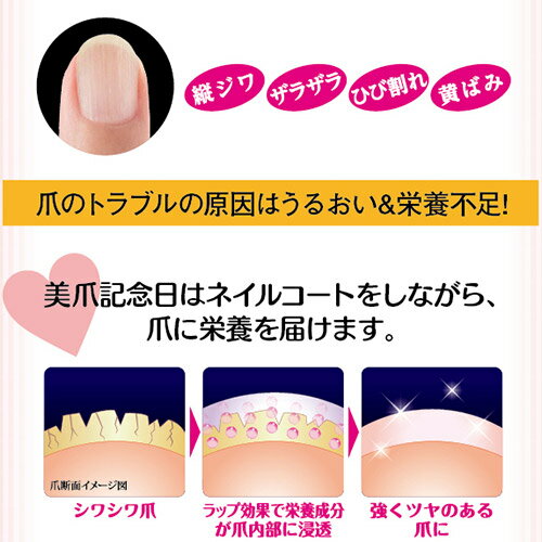 【クーポンで119円OFF】ネイルオイル 美爪記念日 プロテクトネイル 爪 美容液 補強 縦線 マニキュア