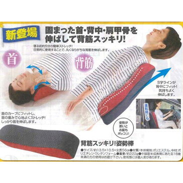 【すぐ使える119円OFFクーポン対象】 肩甲骨 背中 こり 解消グッズ 猫背 肩甲骨 はがし グッズ 筋膜リリース 姿勢矯正 ストレッチ グッズ 健康器具 高齢者 ストレッチ器具 背筋スッキリ!姿勢棒 レッド