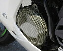 2013- Kawasaki NInja250レーシングボディワーク ジェネレーターカバー【左側】 ●画像はケプラー製です ※メーカー工場在庫の無い場合、約2週間程のお時間を頂いております。在庫状況は注文時にご確認下さい。 ※受注後のキャンセル・返品・お客様都合による交換は受付けておりません。よくご確認の上、ご注文下さい。 13-　Ninja250 レーシングボディワーク 13-　Ninja250 ストリートボディワーク