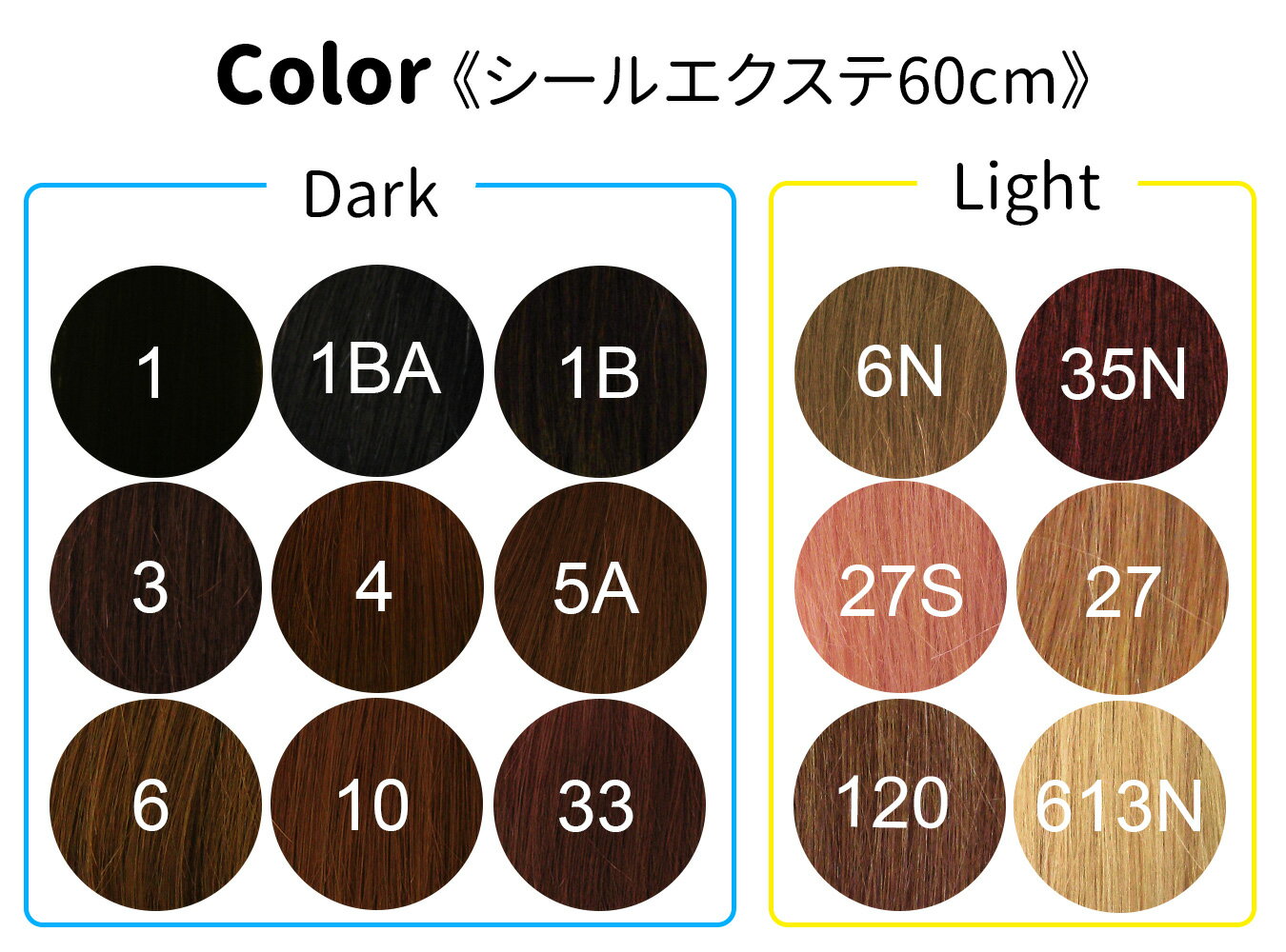 60cm 40本(1cm幅80枚) ライトカラー 特許シールエクステ ンション レミー 高級人毛100% ボリュームアップ えくすて