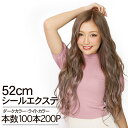 シールエクステ 52cm100本分(200P) ダーク ライトカラー へそ上ロング │ 人毛100 レミー毛 つけ毛 ヘアー 髪 長持ち オリジナル