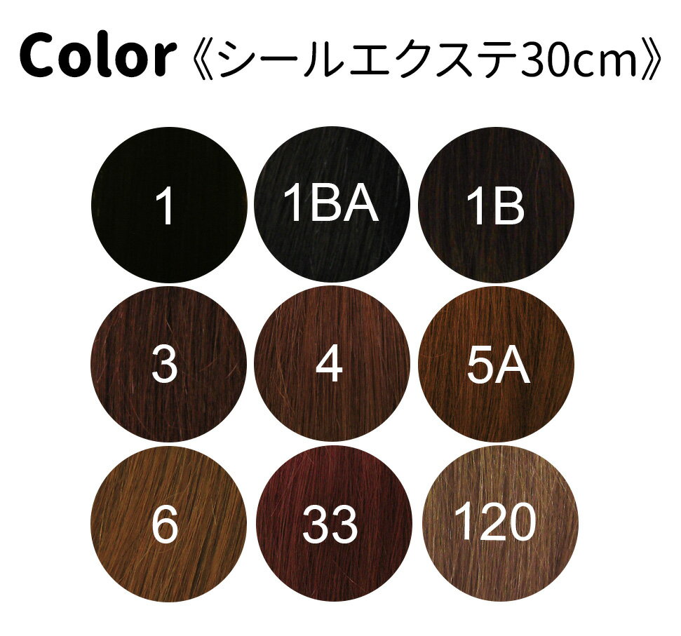 30cm 20本分(1cm幅40枚) 特許シール ヘアエクステンション 最高級人毛100% レミー毛 前髪 セミロング 簡単 つけ毛 インナーカラー メッシュ