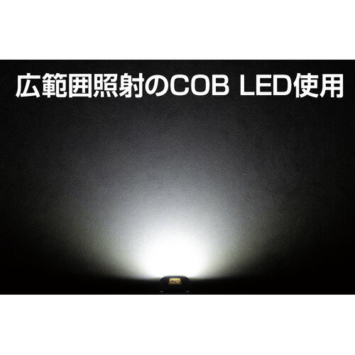 ジェントス GENTOS COB LED搭載ヘッドライト CB-443D通販格安セール情報　楽天　通販