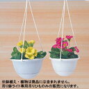 アイリスオーヤマ 吊り鉢ライト専用吊りひも ホワイト HP-01