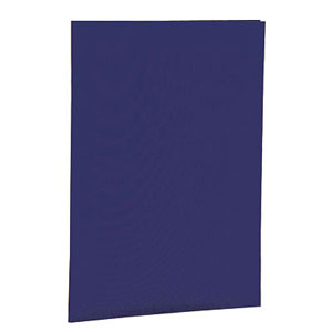 ナカバヤシ 証書ファイル A4判 紺 布クロス貼り FSH-A4C-B 賞状 卒園 卒業 資格 受賞 コンクール