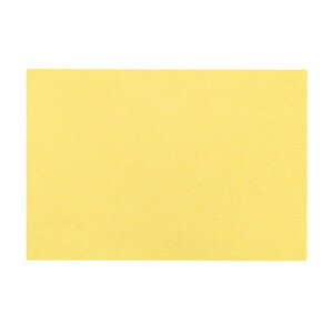 大黒工業 テーブルマット 里紙 100枚入 なのはな No.1100