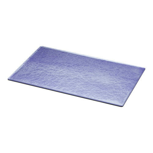 TKG �����ӥ�åե��ѥץ졼�� ��ǮABS 1/1 ��