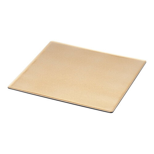 TKG �����ӥ�åե��ѥץ졼�� ��ǮABS 2/3 ��