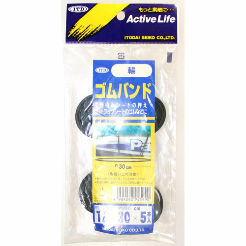 糸代製綱 平輪ゴム 30cm 5本入 2472900