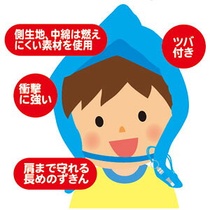 ナカバヤシ 防災ずきん チェック柄 ブルー BZ-102B