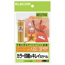 ポスト投函 エレコム ELECOM フリーラベル はがきサイズ EDT-FHKI