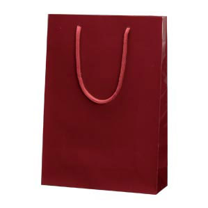 ブライトバッグ エンジ 006138202